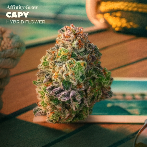 Capy Flower (3.5g)